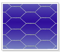 hexagonal wire mesh
