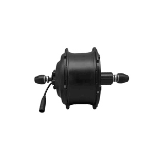 DGW25E-Rear Drive Motor-MTB