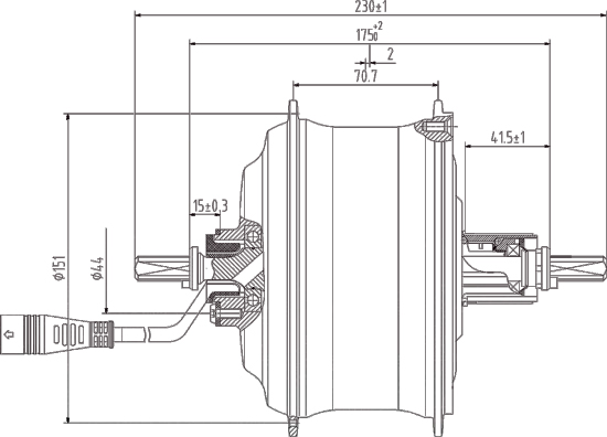 Ebike Rear Motor