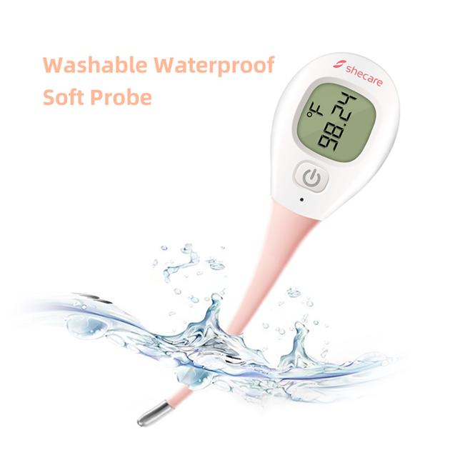 High Accuracy Digital Thermometer
