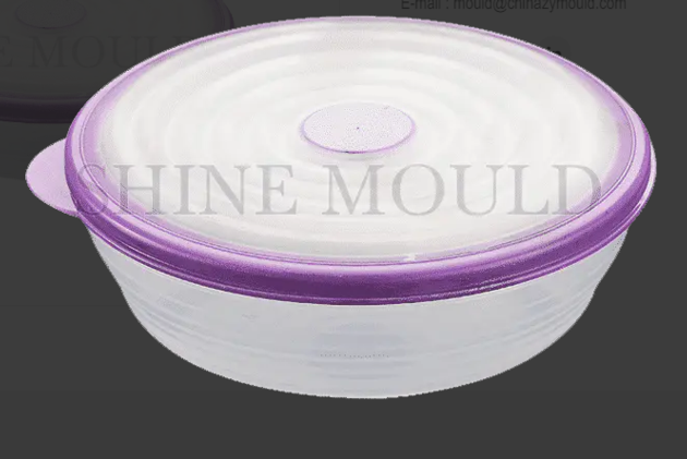 FOOD KEEPER MOULD