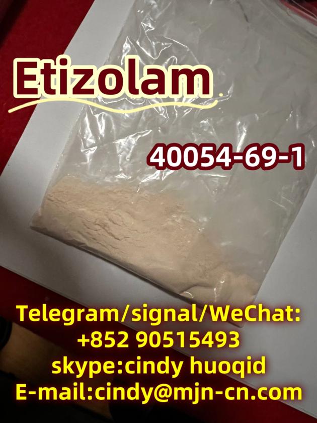 Etizolam 40054 69 1