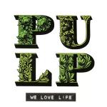 look for log sown timber plywood wood pulp