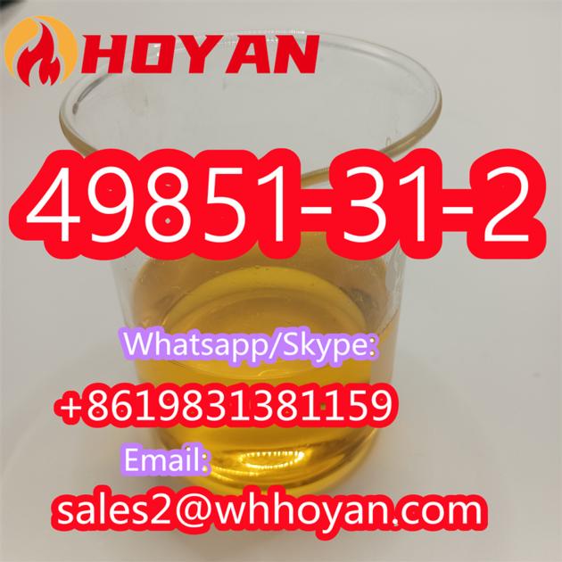 49851 31 2 2 Bromo 1