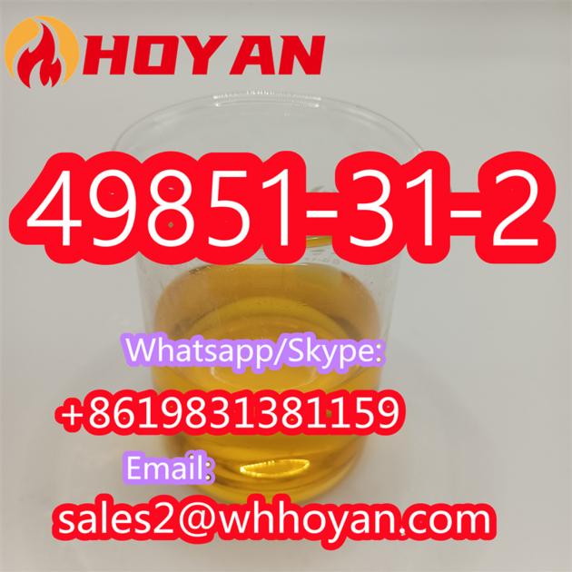 49851 31 2 2 Bromo 1