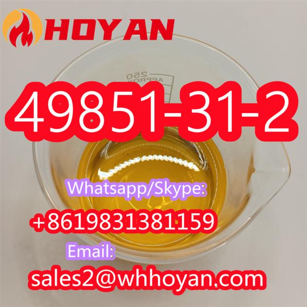 49851 31 2 2 Bromo 1