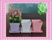 Cute Rose Square Pots