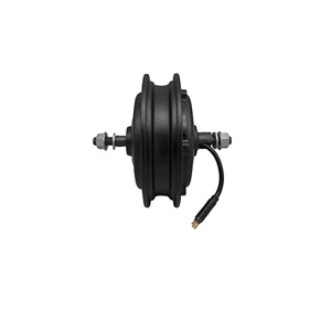 Electric Scooter Motor