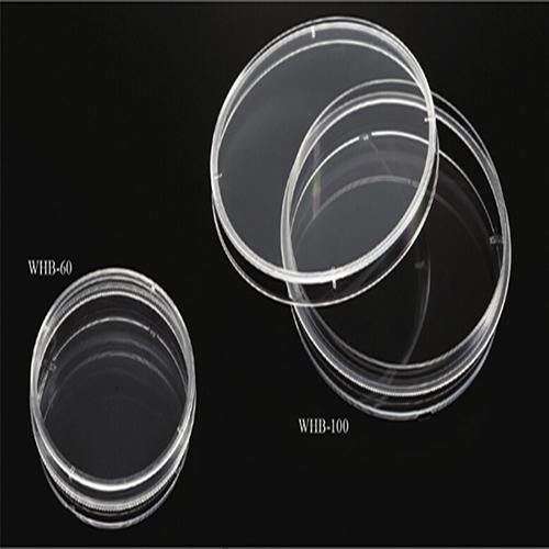Cell Culture Dish