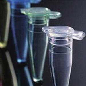 PCR Tubes