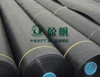 HDPE Geomembrane