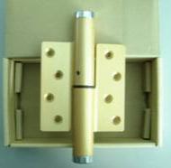 Auto Door-Closing Hinges