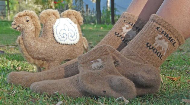 Camel wool socks
