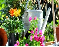 Garden Accessories