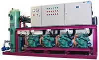 Bitzer Piston Compressor parallel rack Refrigerating Units