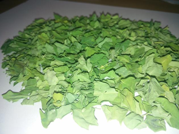 Moringa Dried Leaves