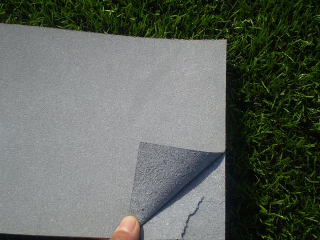 Renewable Leather