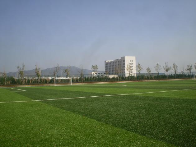 Nonwoven Insole Board
