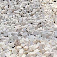 Poria Cocos Root Extract 