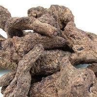 Radix Puerariae Extract