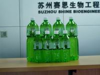 aloe vera drink