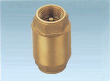 check valve
