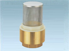 strainer valve