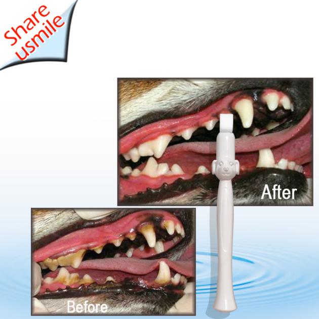 Wholesale Shareusmile New Dog Toothbrush Pet