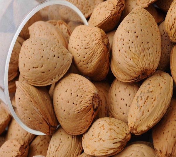 Shelled Almonds