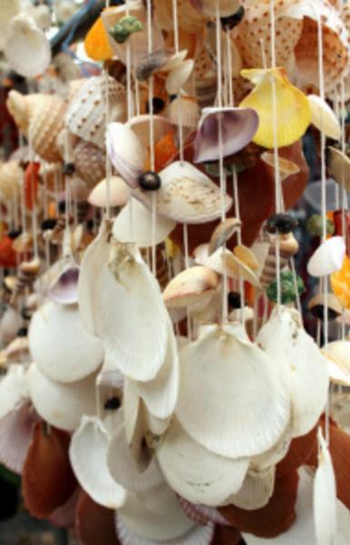 Bone & Shell handicrafts
