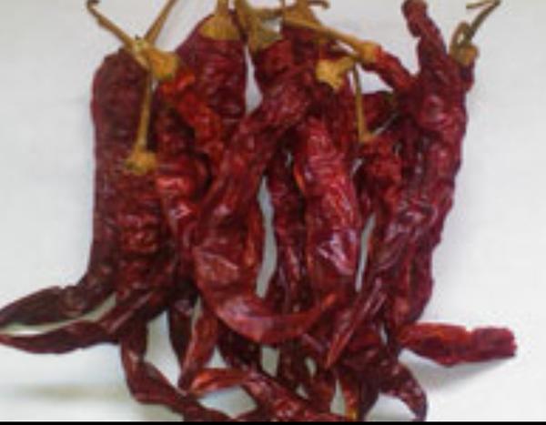  Dry Red Chilli Type- DD with stem