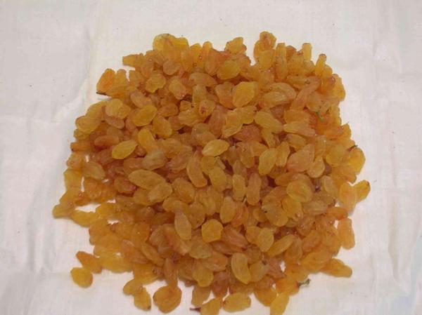 Indian Raisins