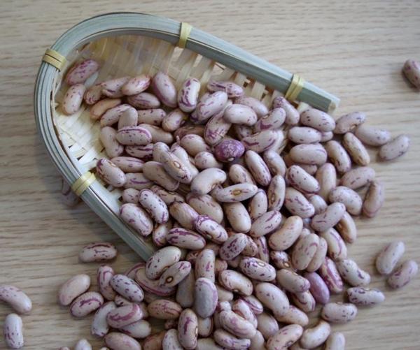 Light Kidney Beans