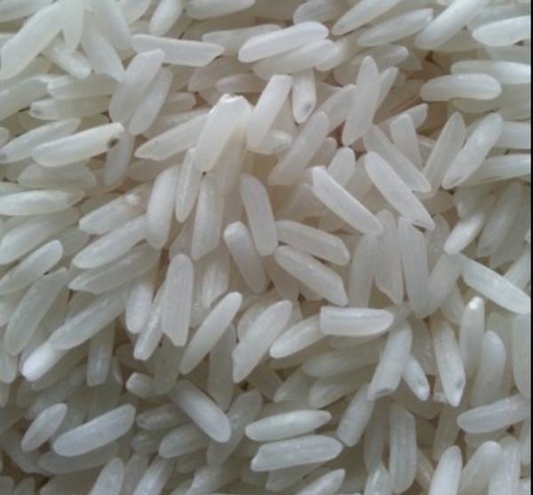 Non Basmati PR 11