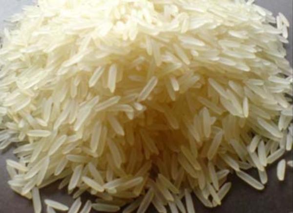 Pusa Basmati 