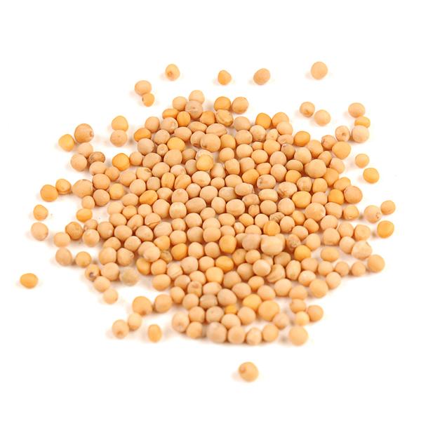 Yellow Mustard Seeds.