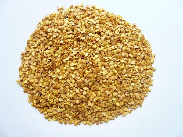 Chilli Seed Hand Cleaned