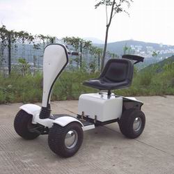 BUGGY