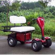 buggy