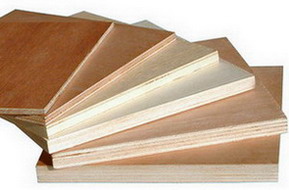 The popluar plywood