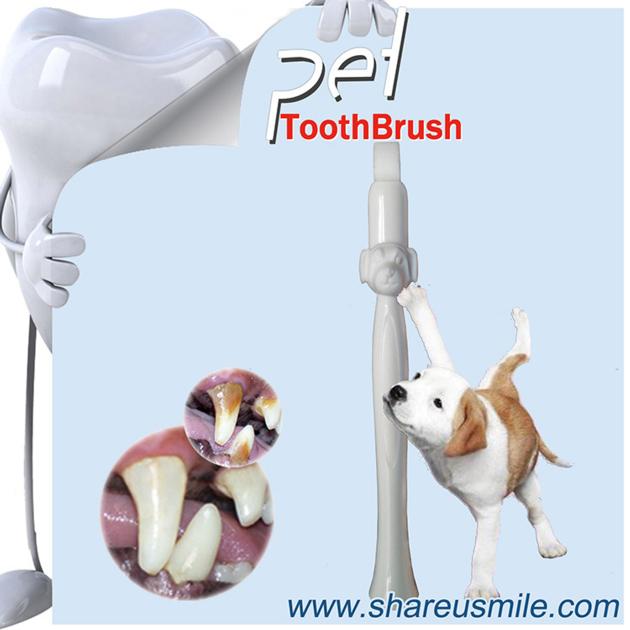 2021 New Dog dental care shareusmile pet toothbrush dog teeth cleaning products