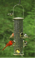 METAL BIRD FEEDERS
