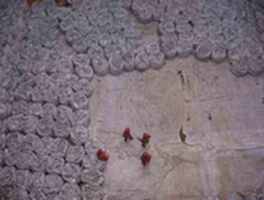 portland cement
