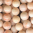 Natural Pink Coral Beas