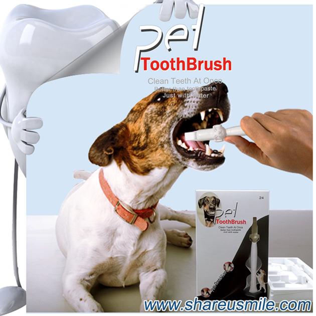 Factory Wholesale Pet Cat Oral Care Products Dog Grooming Brushes for Teeth Cleaning
