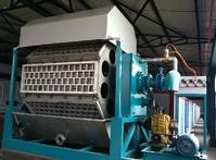 China egg trays production line supplier