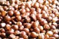chestnut