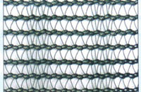 Olive Net