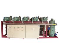 Low Temperature Screw Compressor parallel Refrigerating Units