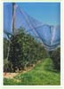 Anti-hail net